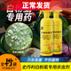 史丹利白粉虱專(zhuān)用殺蟲(chóng)劑花上的特效花卉植物白蟲(chóng)子紅蜘蛛除蟲(chóng)通用花草藥 500ml