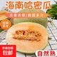 正宗海南哈密瓜當季新鮮水果甜一整箱包郵現摘網(wǎng)紋瓜老漢瓜西州蜜 香甜哈密瓜帶箱5-6斤【凈重4.5-5斤】