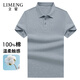 立蒙（LIMENG）【純棉t】男士商務(wù)保羅衫夏季寬松純色翻領(lǐng)T恤衫 淺灰XL