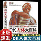 DK大百科系列 DK人體大百科全書(shū) 人體視覺(jué)圖鑒人類(lèi)的進(jìn)化 人體發(fā)育和生殖百科知識 青少年了解人體知識 人體正常形態(tài)結構 萬(wàn)物大百科 科學(xué)大百科 草藥百科 兒童百科 DK人體大百科