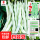 九粒白蕓豆種子豆角種籽四季豆種子高產(chǎn)春秋播種農田庭院蔬菜種子 九粒白（約30粒） 1袋