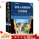 奈特人體解剖學(xué)彩色圖譜：系統解剖學(xué)，第8版 2024年1月參考