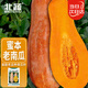 北蔬 南瓜種子苗甜糯板栗味老品種雜交蔬菜種籽 糯妃20老蜜本種子20粒