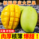 甜果源 大青芒 越南新鮮水果應季樹(shù)上現摘果園直采新鮮水果禮品 凈重8.5-9斤【超值實(shí)惠】 單果400g+【80%人選擇】
