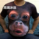 藍(lán)駿啟松鼠短袖t恤男3D立體印花圖案搞怪松鼠個(gè)性衣服體恤潮 冰絲大猩猩 2XL 80-85KG