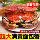 北海灣 英國熟凍面包蟹 原裝進(jìn)口 黃道蟹鮮活熟凍滿(mǎn)黃 節日禮品年貨 1只裝 【凈重600-800g/只】