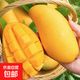 京喜加正宗海南金煌芒新鮮水果大芒果皮薄個(gè)大肉厚 凈重3.5斤裝【單果150g起】