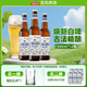 青島啤酒（TsingTao）全麥白啤精選麥芽釀造瓶裝箱啤 原麥汁濃度10°P 500mL 12瓶 整箱裝