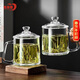 青蘋(píng)果泡茶杯帶蓋 無(wú)鉛玻璃把手水杯玻璃杯商務(wù)會(huì )議家用350ML兩只裝