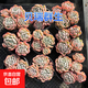 云南精品多肉植物葡萄群生貝瑞群生驚鴻仙子苯巴草莓冰好養小盆栽 貝瑞群生 8cm盆冠幅8-10cm(原盆原土發(fā)貨）