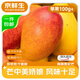 京鮮生 海南貴妃芒果 凈重4.5斤 單果100g+ 新鮮水果 源頭直發(fā)