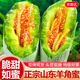 京地達山東羊角蜜甜瓜蜜瓜 凈重8斤單果300g 應季新鮮水果源頭直發(fā)包郵