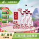 今世緣大紅花白酒家常自飲小酌聚會(huì )宴請送禮口糧酒 42度 500mL 6瓶 整箱裝
