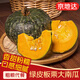 京地達山東板栗南瓜凈重4.5斤單果300g+板栗味健康粗糧源頭直發(fā)包郵