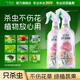 皎潔花卉殺蟲(chóng)劑植物土壤綠蔬菜蚜蟲(chóng)小黑飛月季花草紅蜘蛛500ml*2瓶