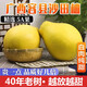 玫梔廣西容縣沙田柚正宗乾隆柚新鮮柚子水果當季甜柚孕婦純甜年貨禮盒 40年老樹(shù)沙田柚 5-7枚裝 (11.5-12斤)