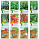 花沃里12款蔬菜種子 黃瓜西紅柿草莓香菜薄荷生菜辣椒白菜菠菜香蔥種籽