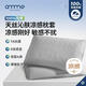 安敏諾（Anmino）防螨抗菌冰絲枕套涼感枕套母嬰A類(lèi)枕頭套夏季家用枕套涼感一對裝