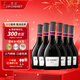 香奈（J.P. CHENET）香奈西拉干紅葡萄酒 750ml*6 整箱裝 熱門(mén)商品