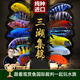 云峰海瑞三湖慈鯛魚(yú)馬鯛活體魚(yú)熱帶魚(yú)觀(guān)賞魚(yú)巖棲中小型淡水魚(yú)非洲王子 隨機50條3-5cm 已有部分發(fā)色