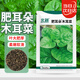 北蔬 木耳菜種子種苗大葉子爬藤春四季蔬菜種籽 肥耳朵木耳菜種子15g