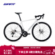捷安特（GIANT）TCR SLR鋁合金20速油壓碟剎彎把競技公路自行車(chē) 白月光 700C×500MM ML 建議177-187cm
