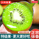 京地達陜西徐香綠心獼猴桃奇異果新鮮水果送禮4斤單果100g+源頭直發(fā)包郵