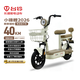 臺鈴電動(dòng)自行車(chē)小錦鯉2026全新國標電動(dòng)車(chē)48V13AH鉛酸長(cháng)續航可上牌男女通勤代步香草白