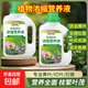 植物營(yíng)養液通用型家用盆栽發(fā)財樹(shù)富貴竹綠蘿水培花卉綠植蔬菜肥料 通用營(yíng)養液500ml×2瓶