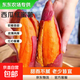 【東東農(nóng)場(chǎng)專供】2026新鮮現(xiàn)挖西瓜紅蜜薯紅心蜜薯直播間源頭直發(fā) 9斤中大果（單果3兩起）