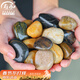 壽禾 鵝卵石石頭大塊水族箱魚(yú)缸盆栽裝飾鋪路 2-4cm天然精拋鵝卵石1kg