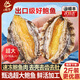 兆華特級鮮活三去大號鮑魚(yú)肉熟凍免處理活鮑冷凍現剝生鮮火鍋燒烤食材 三去純鮑魚(yú)肉500g（20-30頭）大號