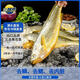 三都港 冷凍三去黃花魚(yú)700g/2條裝 大黃魚(yú) 生鮮 魚(yú)類(lèi) 深海魚(yú) 海鮮水產(chǎn)
