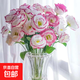 無(wú)刺玫瑰洋桔梗鮮切花插花捧花家庭水養云南昆明直發(fā)20-30個(gè)花苞 粉邊