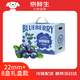 京鮮生 云南高山藍莓 特大果22mm+ 8盒禮盒裝 凈重125g/盒 生鮮水果