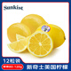 新奇士（Sunkist）美國檸檬12粒裝 特級果單果80-120g 新鮮水果 源頭直發(fā) 