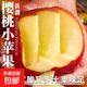 【年貨節禮盒】冰糖心蘋(píng)果新疆阿克蘇果園采摘農家種植新鮮水果 【禮盒】櫻桃蘋(píng)果帶箱5斤60-70mm