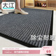 大江 入戶(hù)地墊腳墊進(jìn)戶(hù)門(mén)2025年新款門(mén)墊玄關(guān)地毯門(mén)口入戶(hù)80x120cm