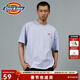 Dickies男女同款短袖T恤簡(jiǎn)約小logo全棉純色寬松休閑情侶款上衣 DK010991 淡紫色 （寬松版型） M
