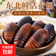 鮮活蠶蛹肉新鮮小二黃蠶肉營(yíng)養美味東北特產(chǎn)新鮮蠶蛹高蛋白 新鮮二黃蠶蛹【大個(gè)4-5cm】?jì)糁?斤