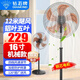 鉆石牌電風(fēng)扇落地扇空氣循環(huán)工業(yè)風(fēng)扇家用廚房宿舍辦公室落地大風(fēng)力風(fēng)扇 16寸勁風(fēng)鋁葉【銅芯電機】
