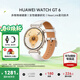 華為（HUAWEI）手表WATCH GT 6女款【定制黑天鵝】運動(dòng)智能兩周續航藍牙通話(huà)體溫血氧心率監測健康送朋友禮物5pro 41mm浮光白【皮表帶+貼膜】