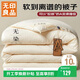 無(wú)印良品A類(lèi)面料華夫格10%大豆被子四季秋冬被褥被芯冬天棉被200*230cm6斤