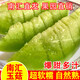 灃御園正宗上海南匯玉菇甜瓜 冰激凌甜瓜果青皮綠肉玉茹密瓜新鮮水果 超值香甜精選5斤2-3個(gè)