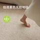 賽波斯正版沙丘素色防水無(wú)膠地毯無(wú)甲醛高級感輕奢風(fēng)客廳茶幾墊子1.9X3M