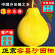 玫梔廣西容縣甜柚沙田柚正宗乾隆柚新鮮柚子水果當季孕婦純甜年貨禮盒 老樹(shù)沙田柚（8.5-9斤 4-5枚 ） 40年老樹(shù)果