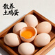 林艙【50g±5g】農家土雞蛋 新鮮現撿鮮雞蛋 破損包賠 15枚