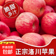 陜西洛川富士蘋(píng)果整箱脆甜多汁生鮮新鮮水果當季批發(fā)紅蘋(píng)果 80mm+帶箱9斤裝凈重8斤