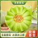 正宗山東直發(fā)玉菇甜瓜 爆甜多汁應當季甜瓜整箱現發(fā)+ 5斤 凈重4-5斤
