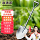 漫德萊 不銹鋼尖鍬鐵鍬農用園林園藝工具鏟雪鍬清雪除雪種植種菜種花